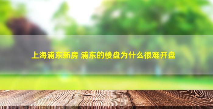 上海浦东新房 浦东的楼盘为什么很难开盘